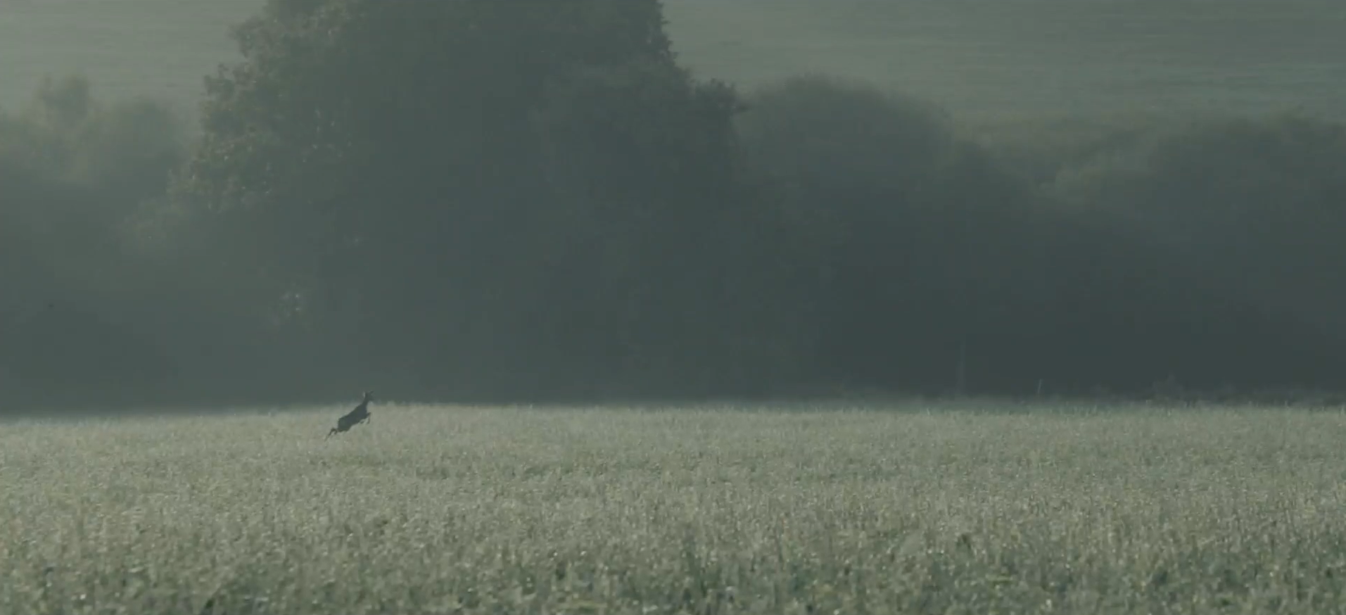 Capture d’écran 2025-09-16 à 14.00.28