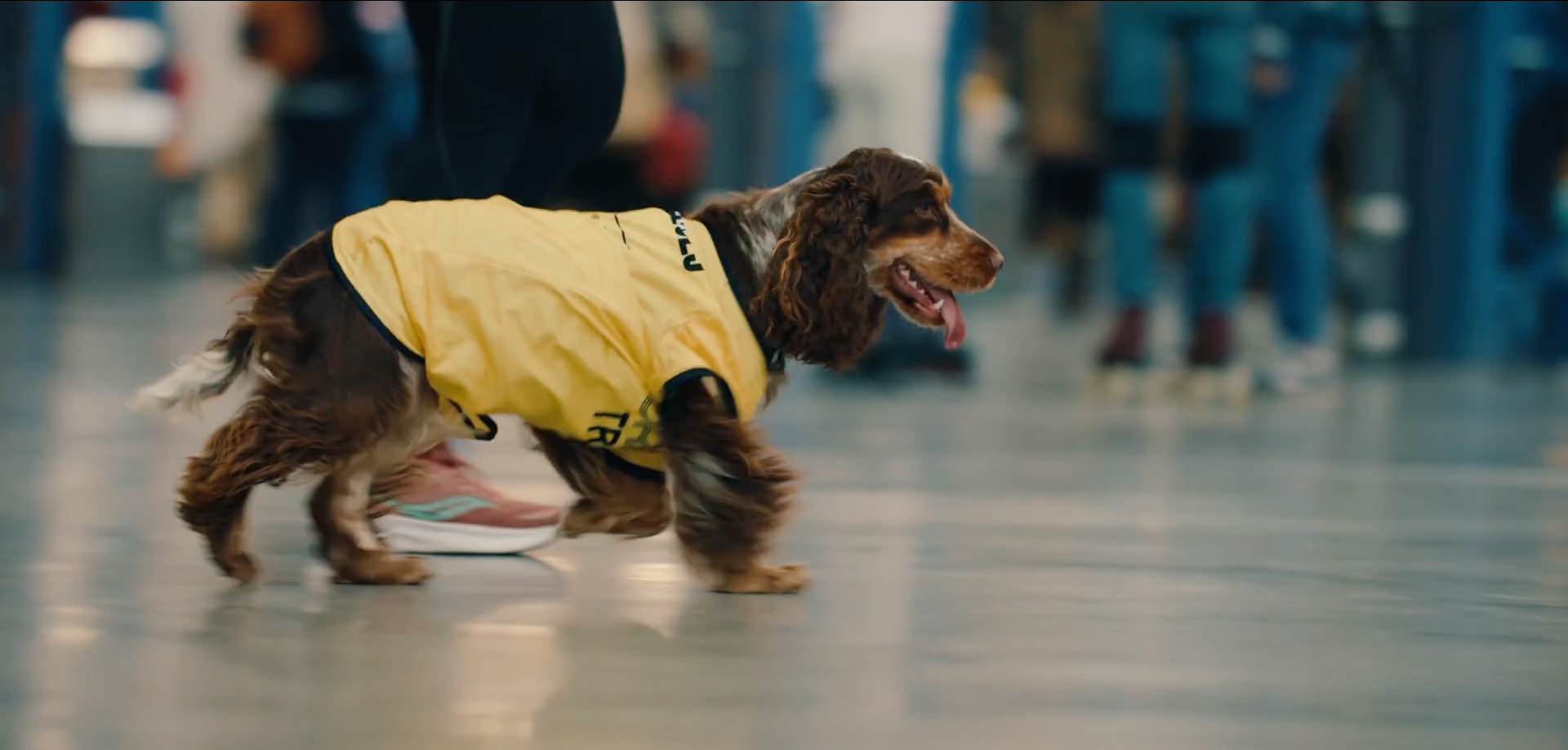 Capture d’écran 2025-09-16 à 14.31.13