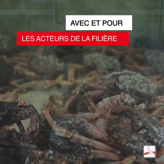 Filière Maritime Crédit Mutuel de Bretagne plan 3 — Valiseofilms