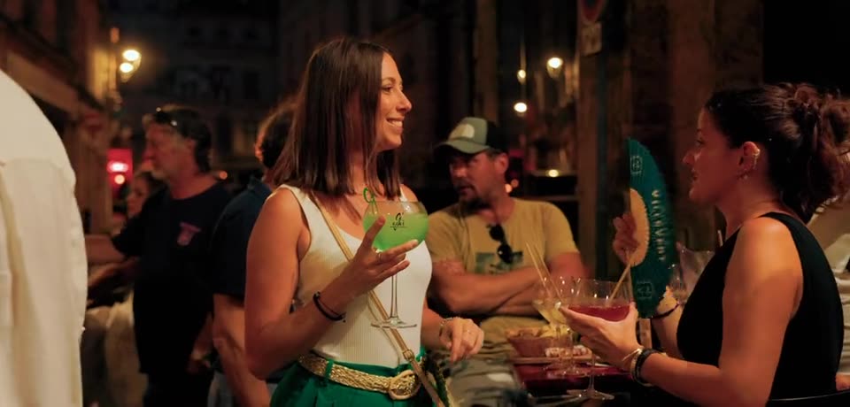 Hospitalité Maison Villevert plan 1 — Valiseofilms