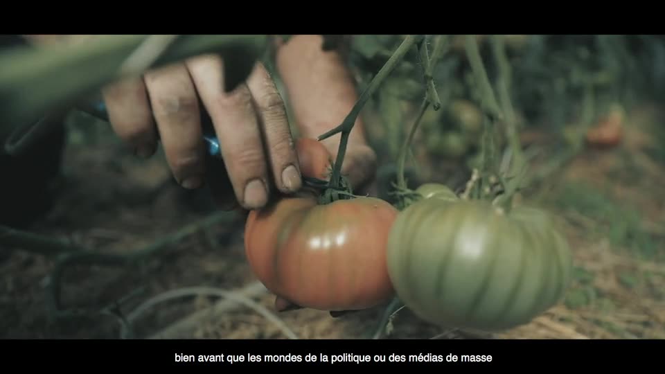 Légumes Bio en Bretagne Poder plan 1 — Valiseofilms